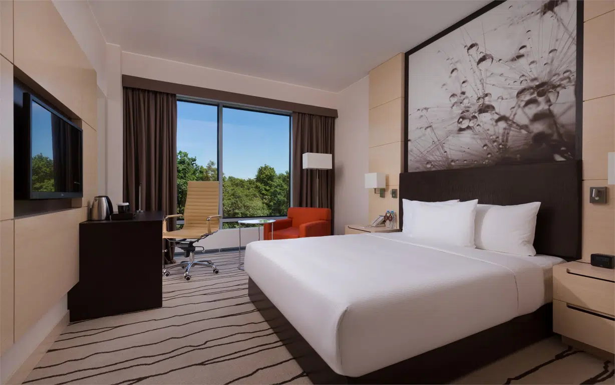 room image